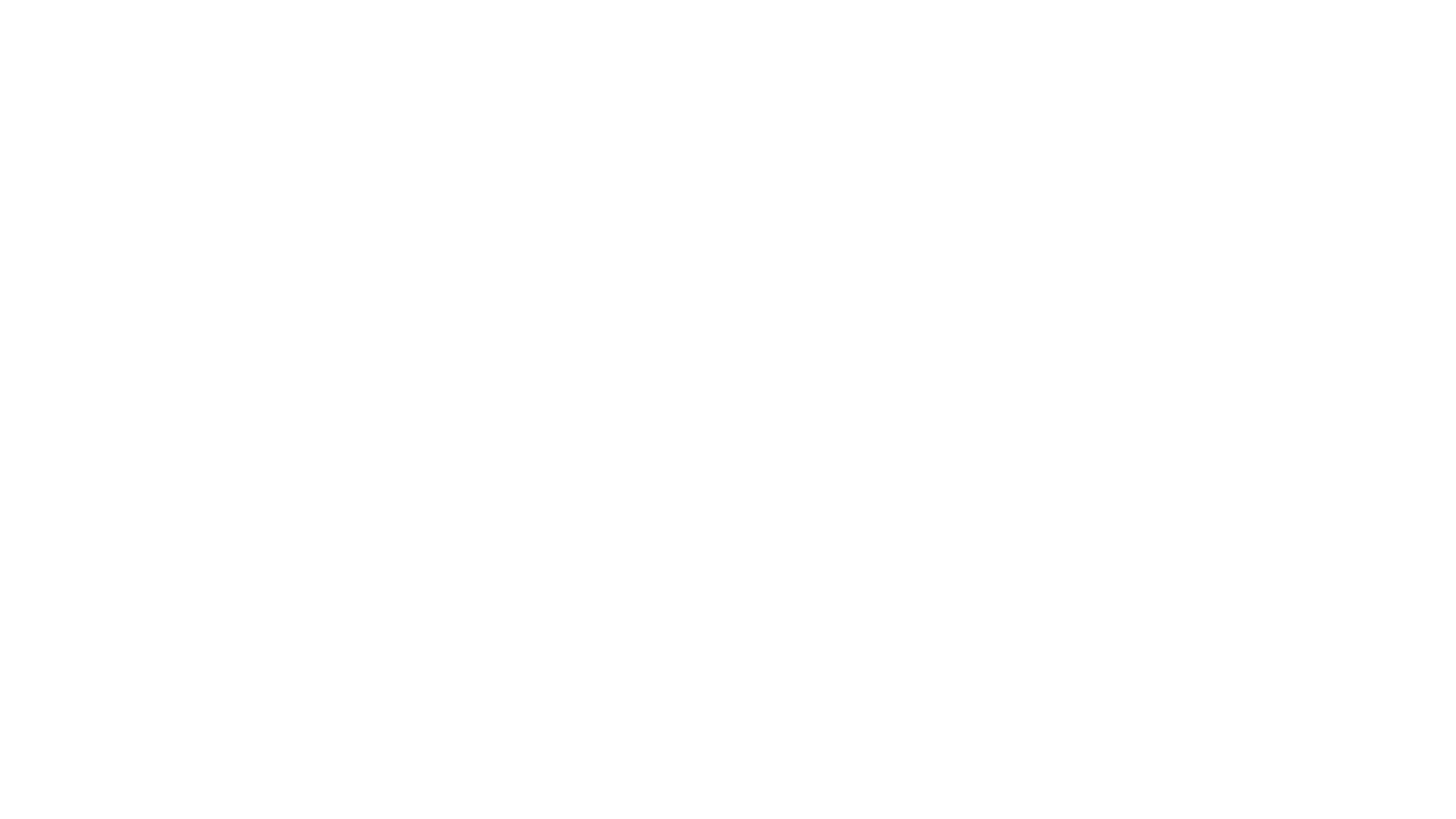 PP Solutions Logo White